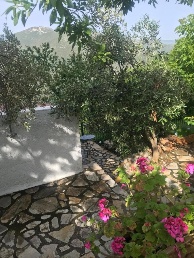 Gourgiana Apartments Andritsaina Luaran gambar